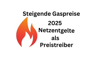 Steigende Gaspreise 2025: Netzentgelte als Preistreiber