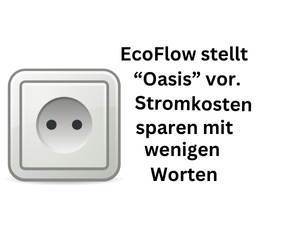 Stromkosten sparen mit einigen Worten: EcoFlow präsentiert "Oasis"